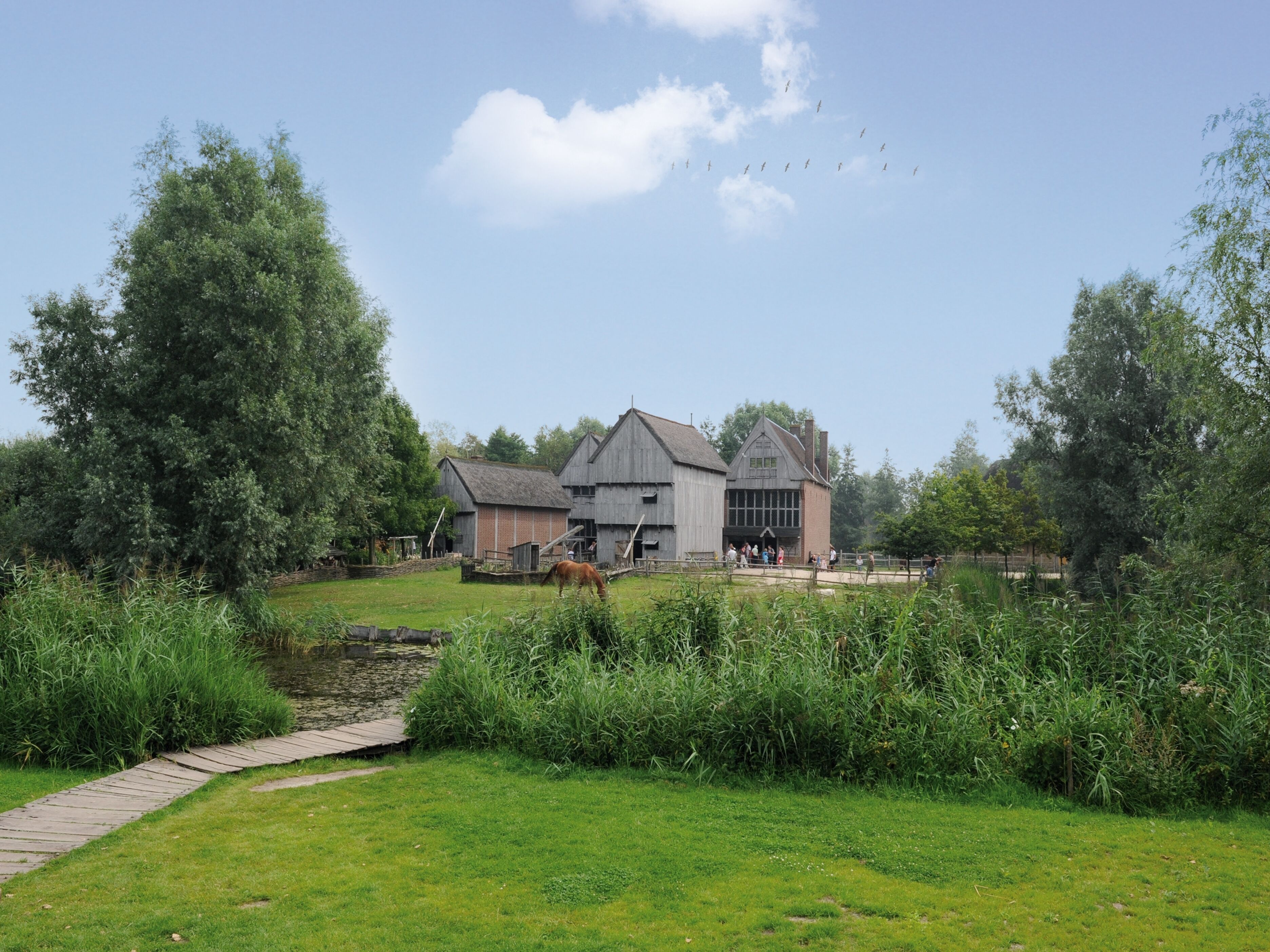 Archeon