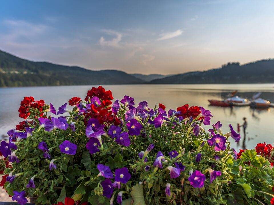 Maritim Titisee