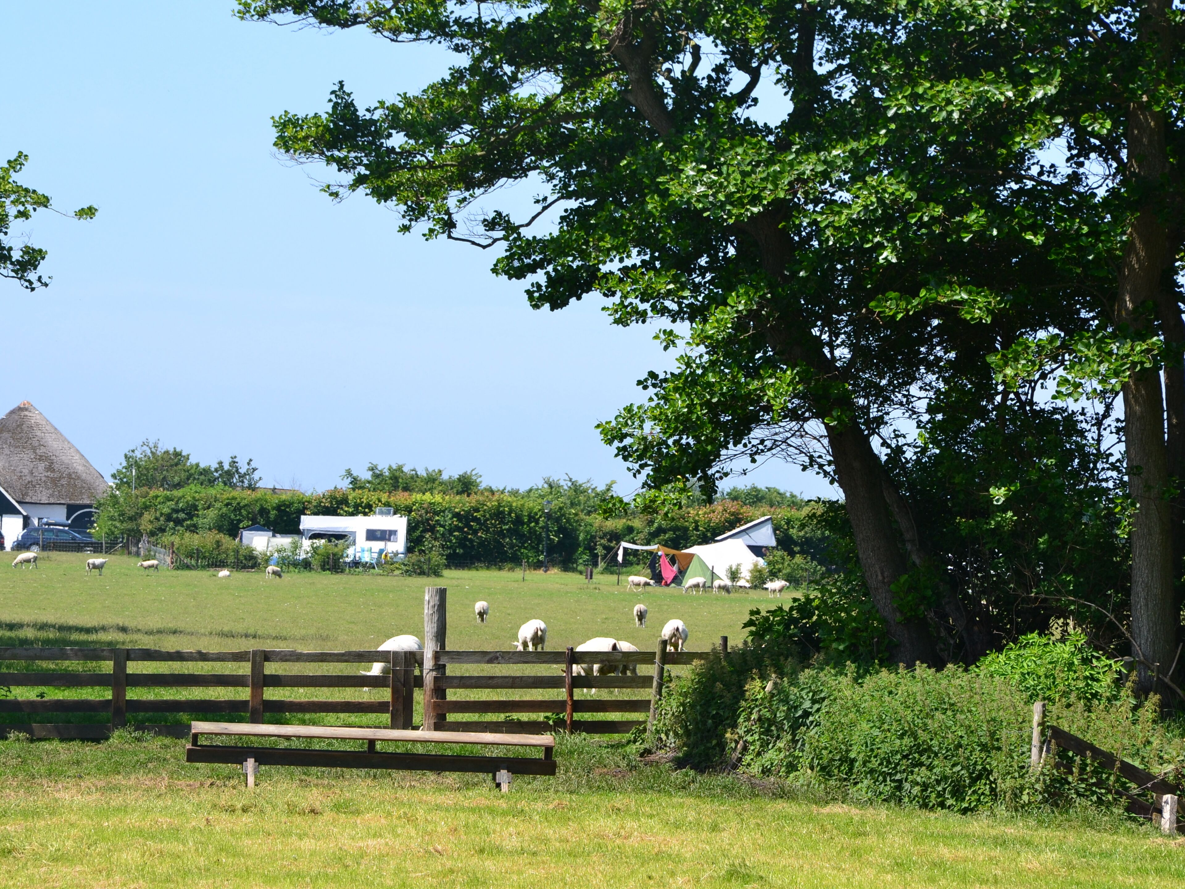 Boerderijcamping De Hal + appartement