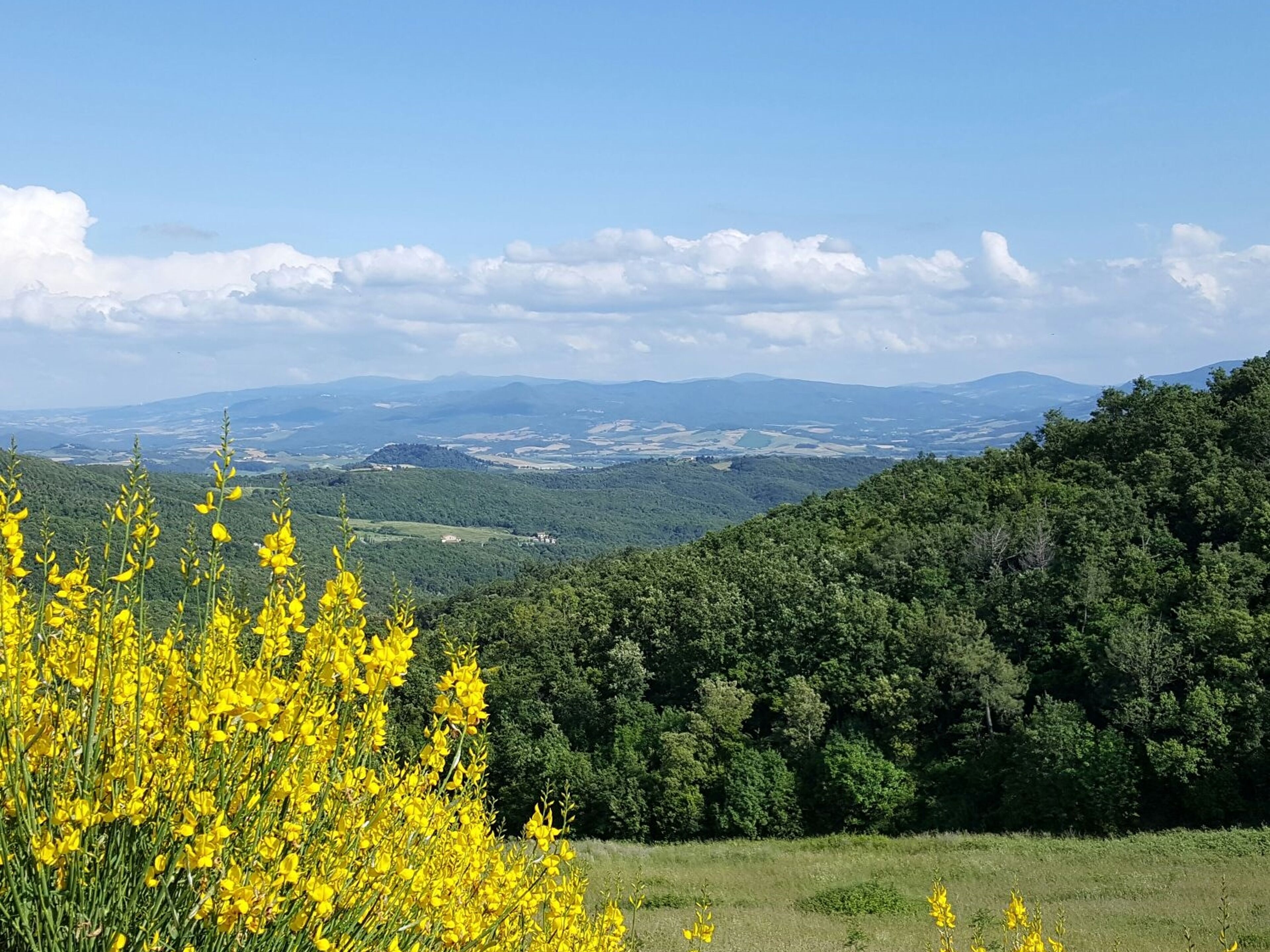 Borgo San Pecoraio