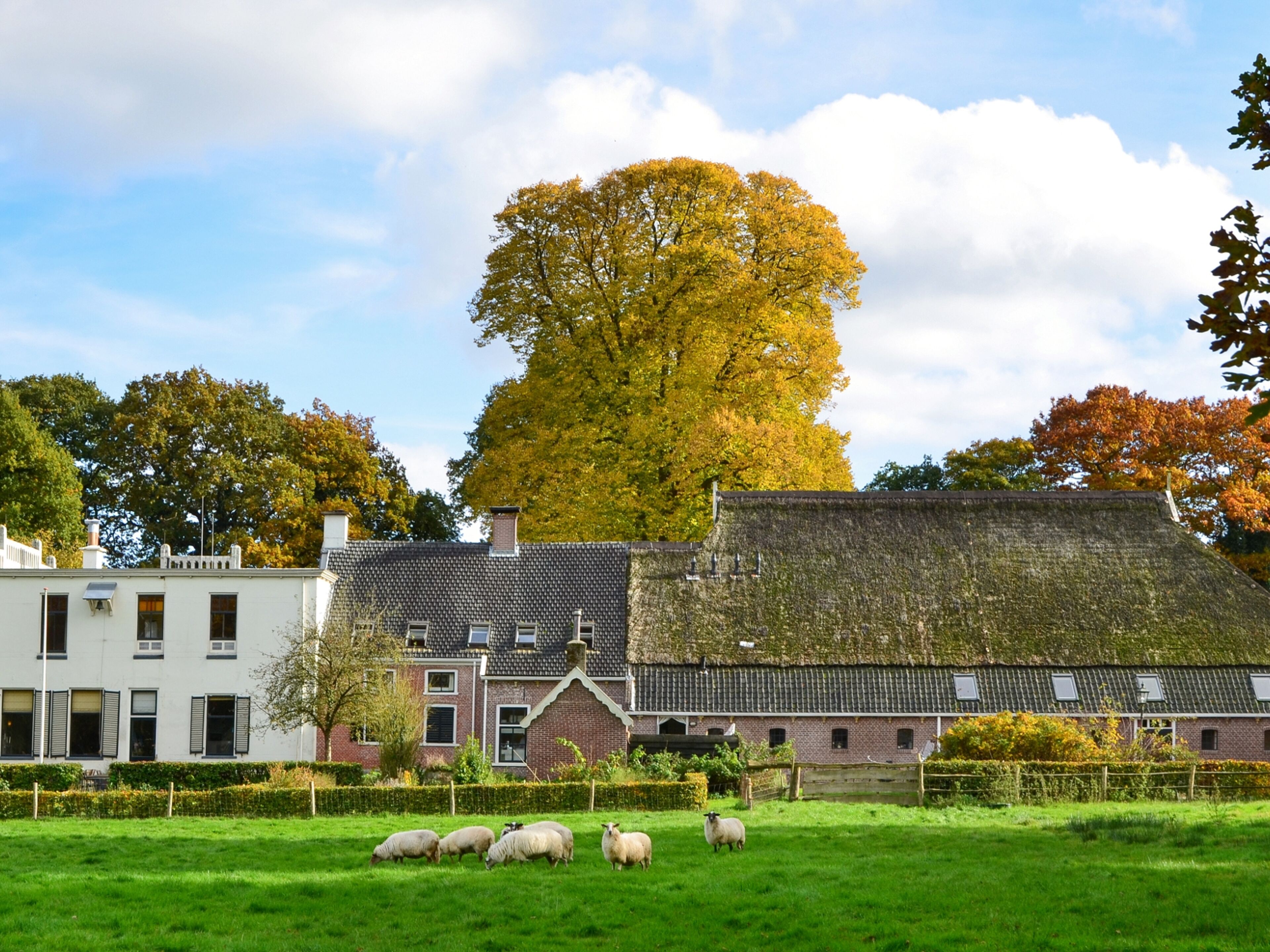 De Jufferen Lunsingh