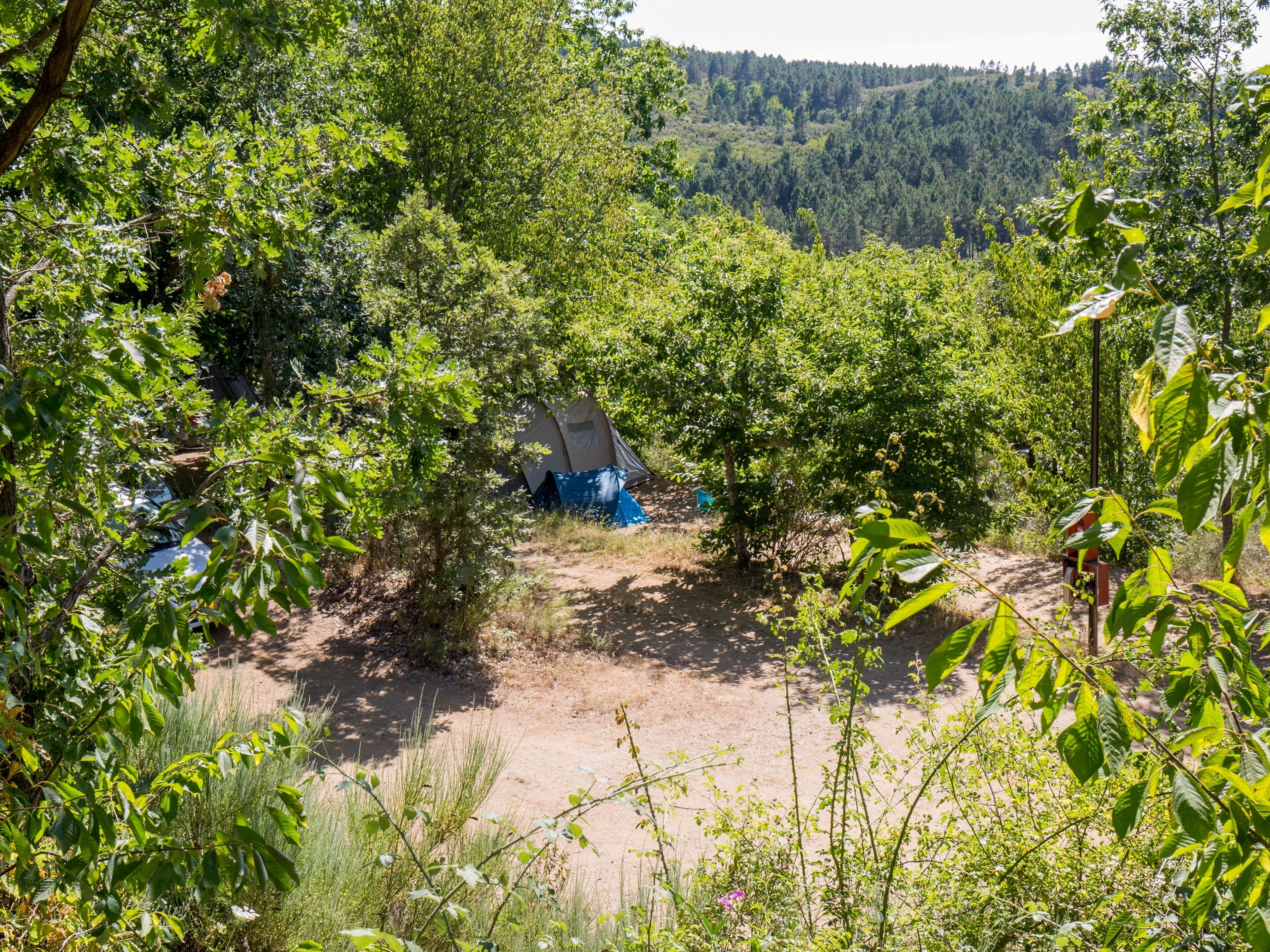 Camping Cepo Verde