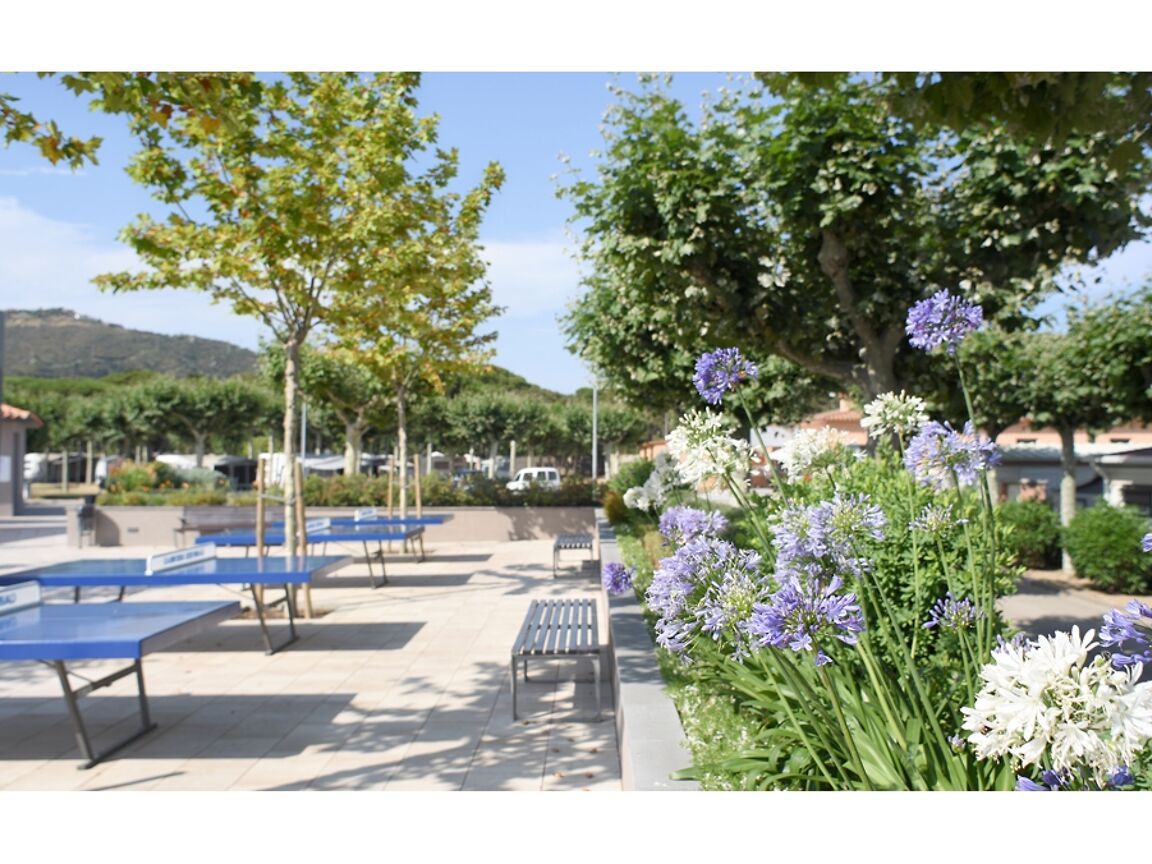 Camping Riembau