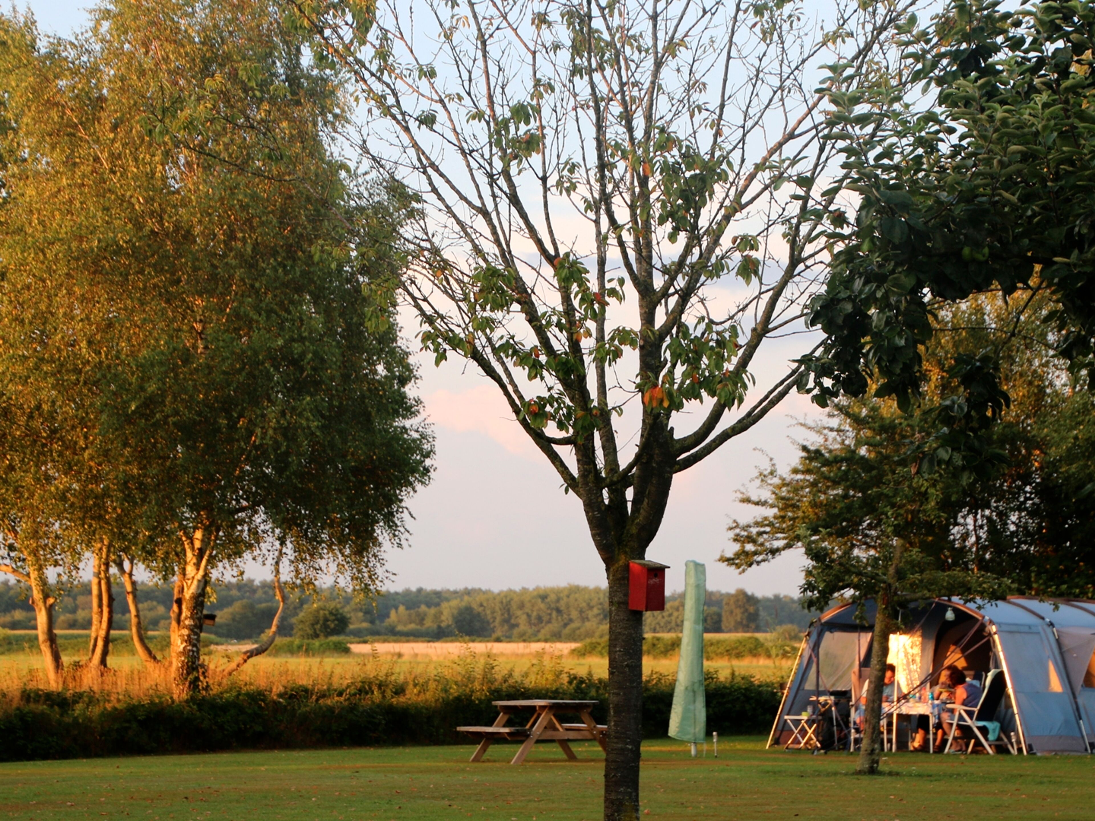 Weideblik vakantiehuisjes en minicamping