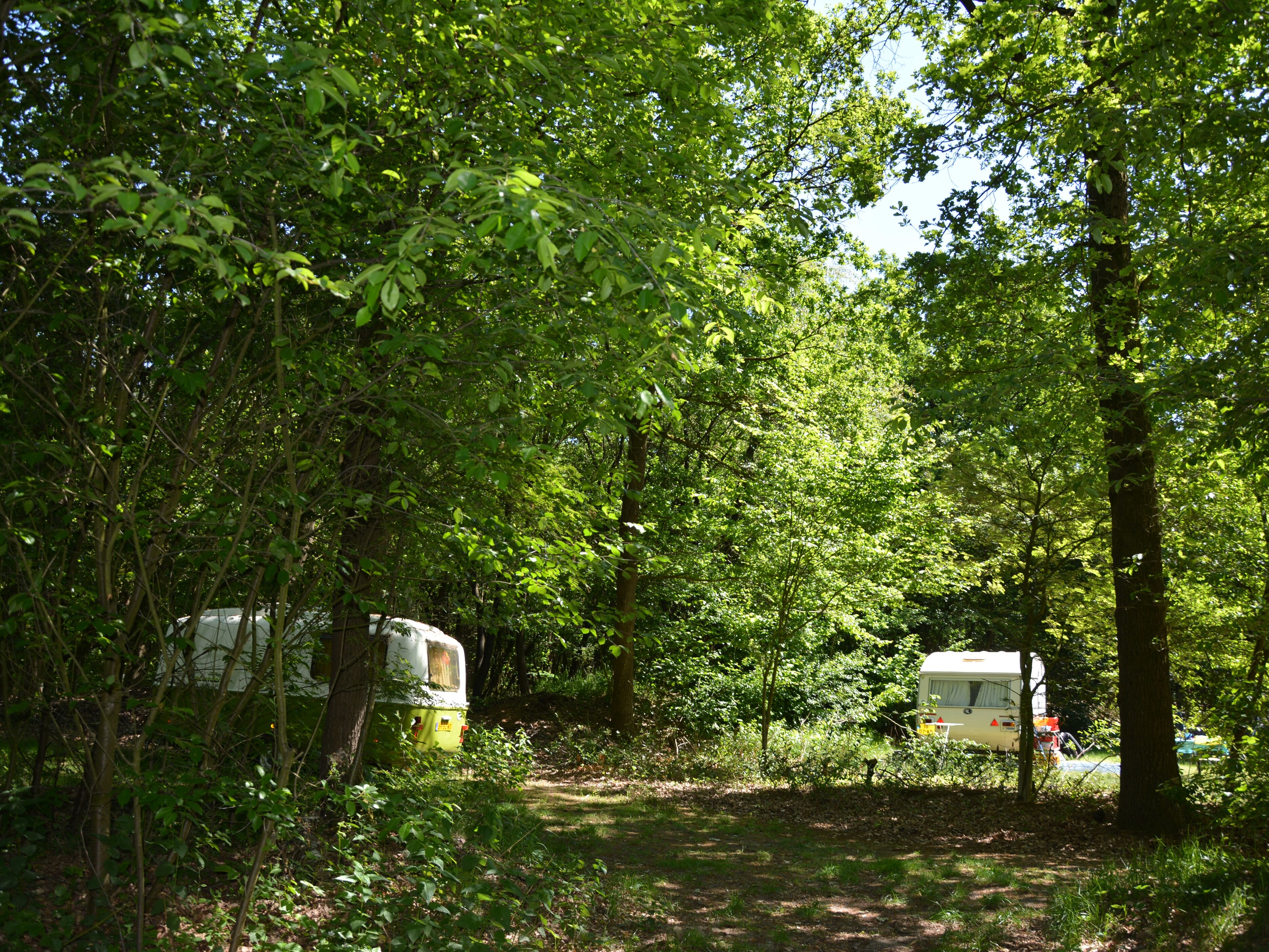Camping Hartje Groen