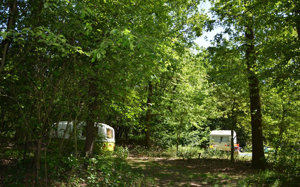 Camping Hartje Groen