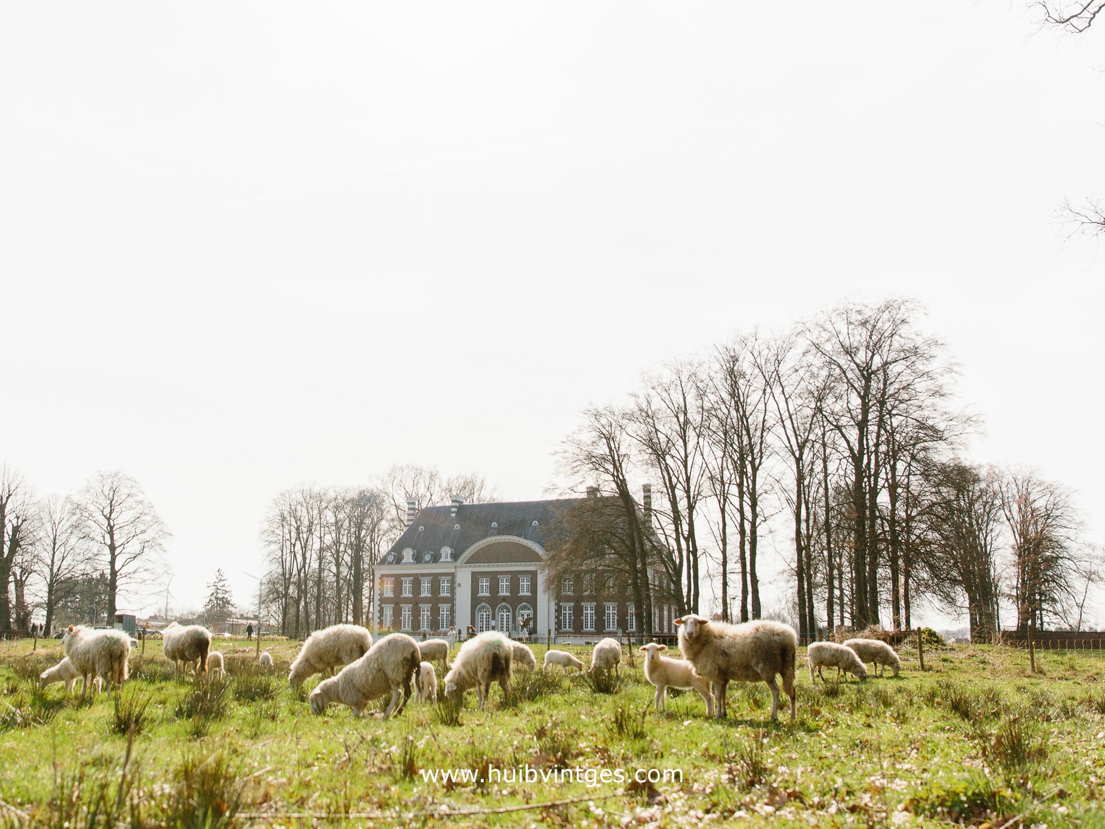 Kasteel Pietersheim