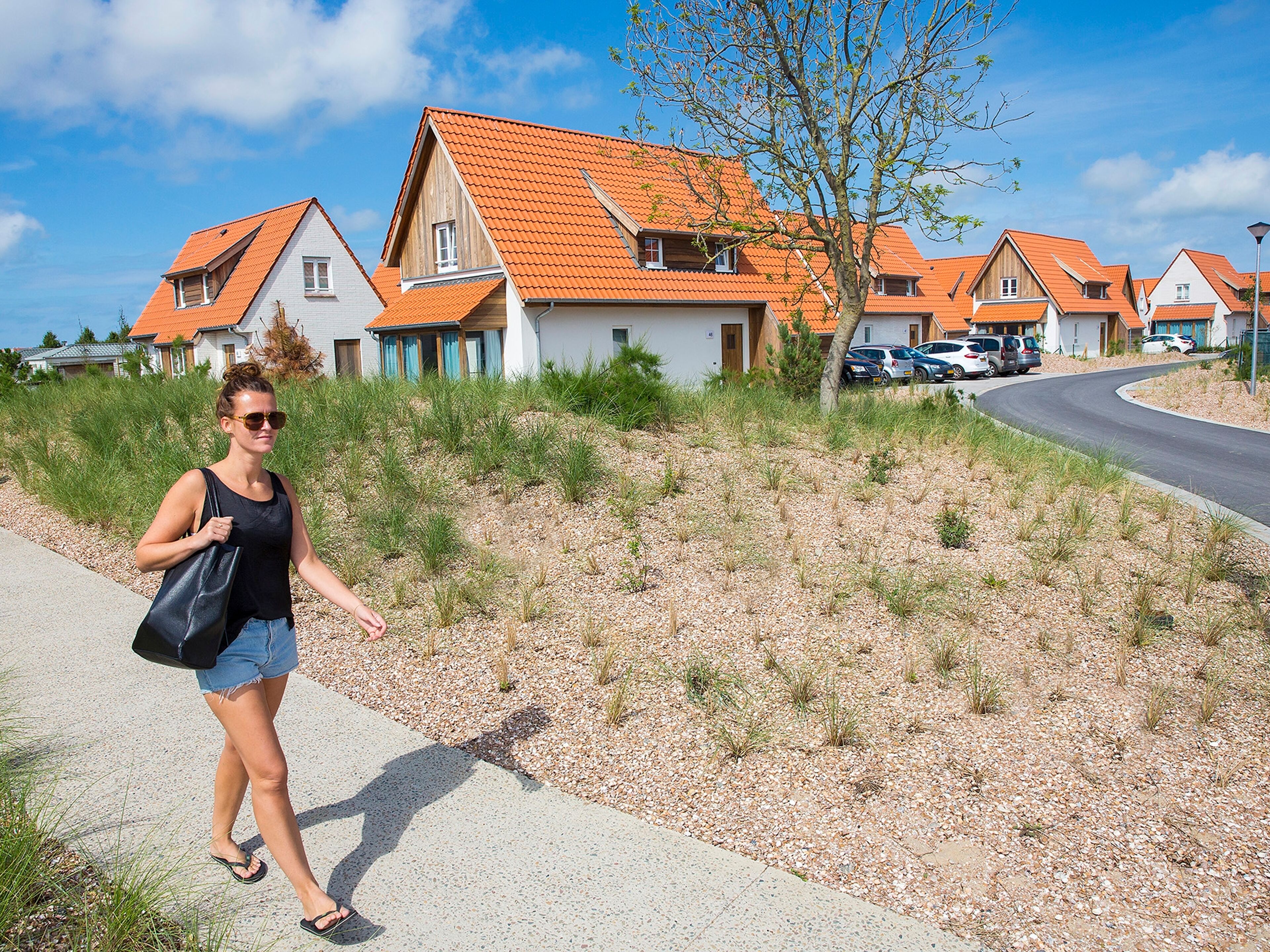 Roompot Vakantiepark Breeduyn Village