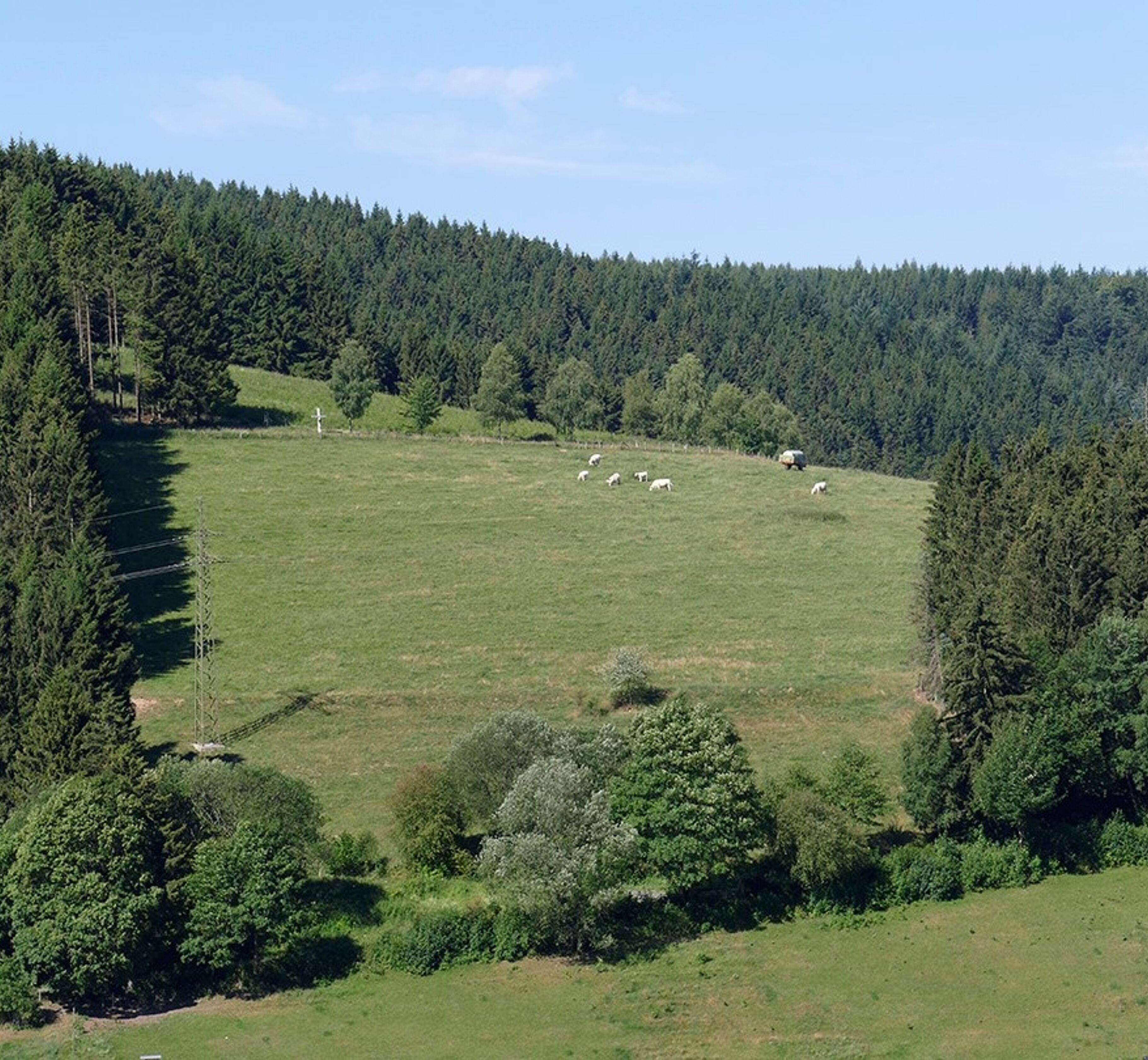 Südhang