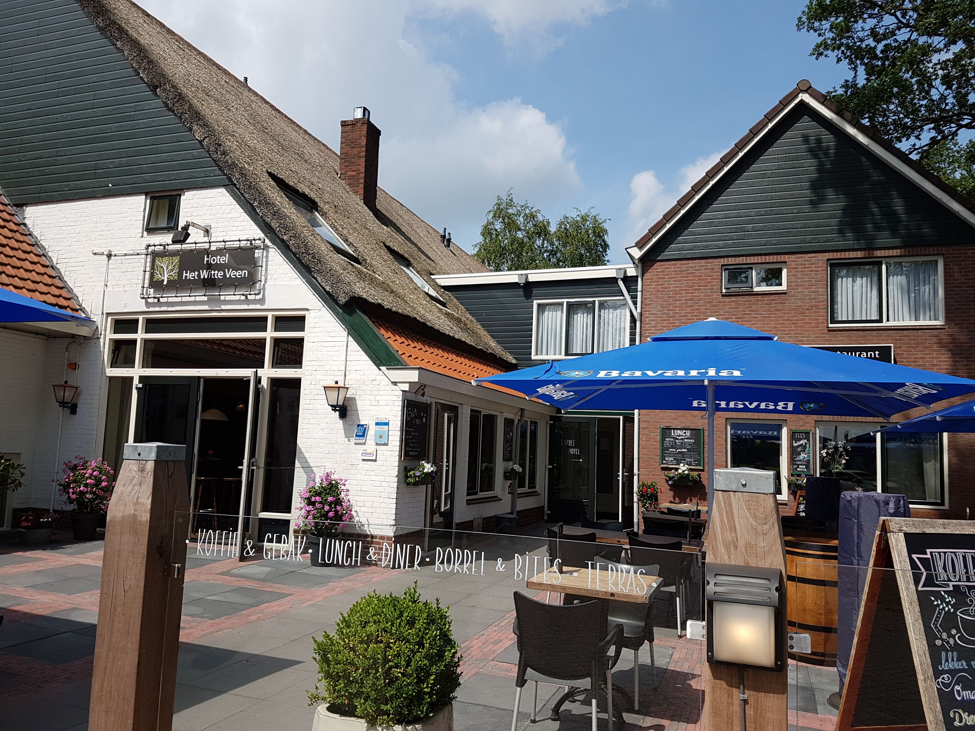 Het Witte Veen