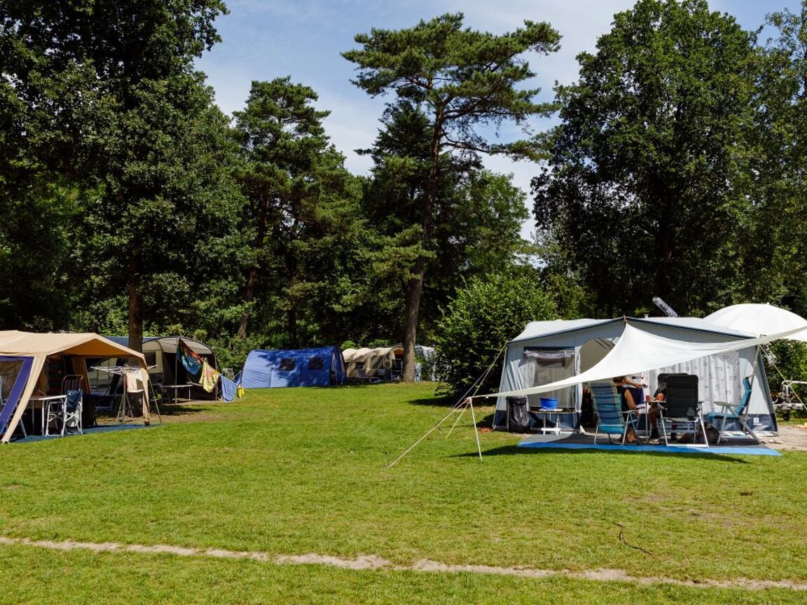 RCN het Grote Bos