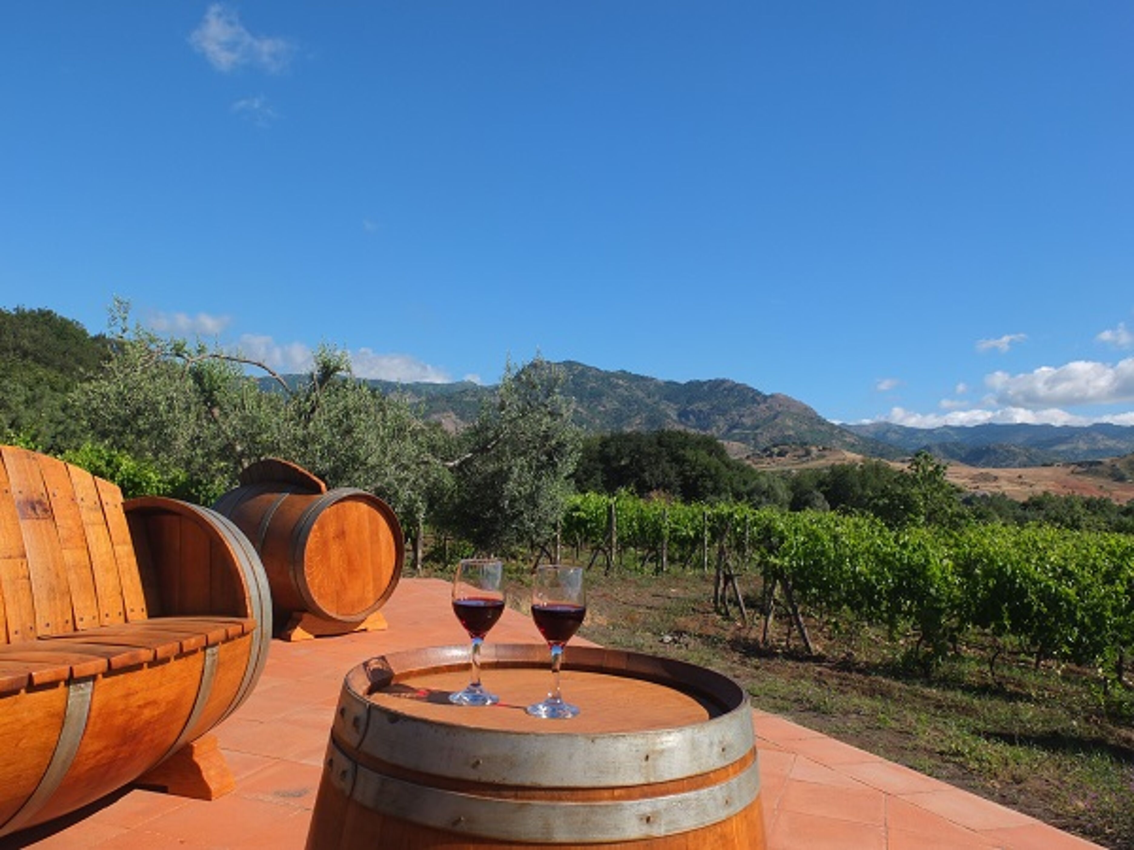 Tenuta Madonnina