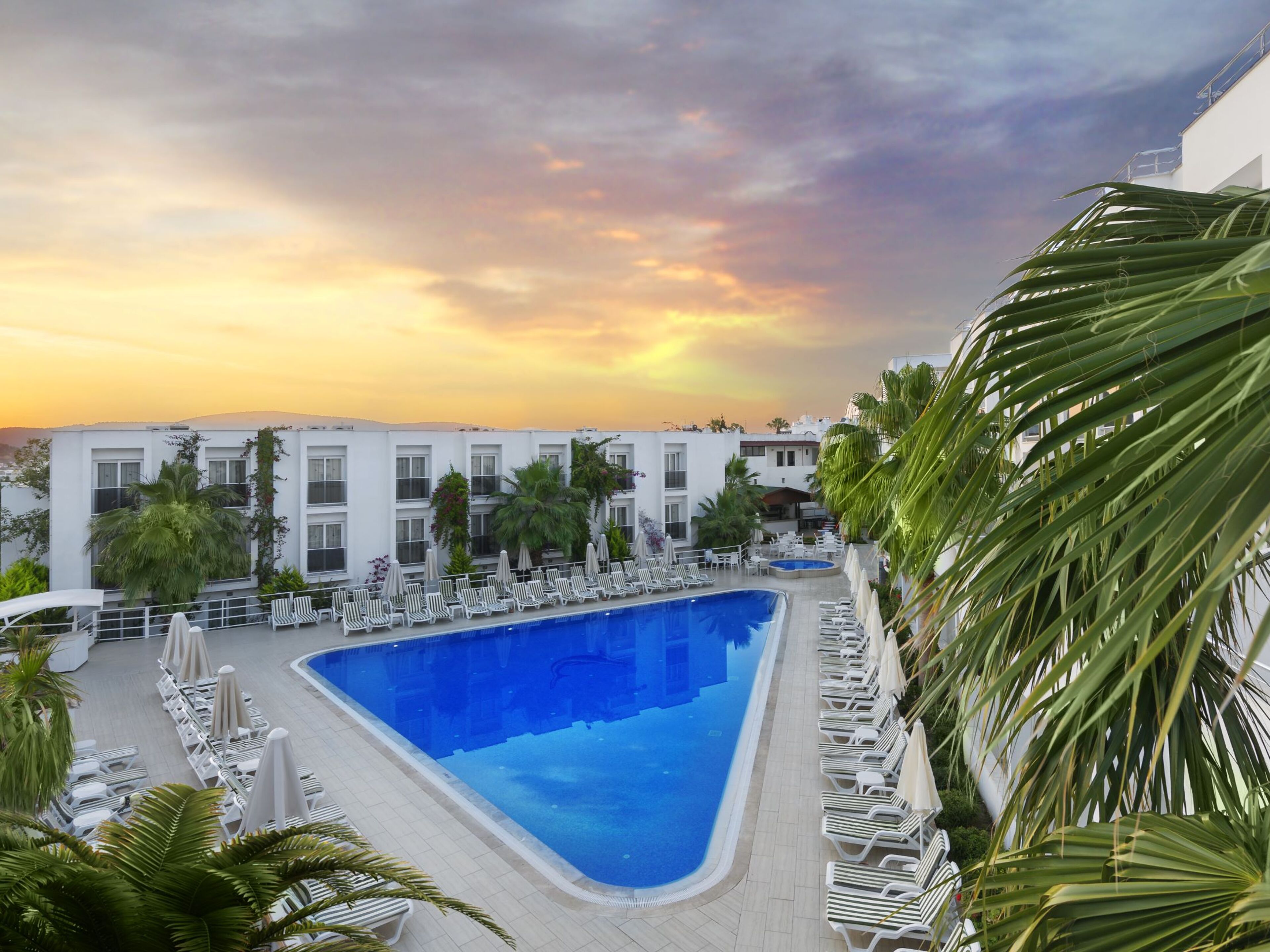 Club Shark Hotel
