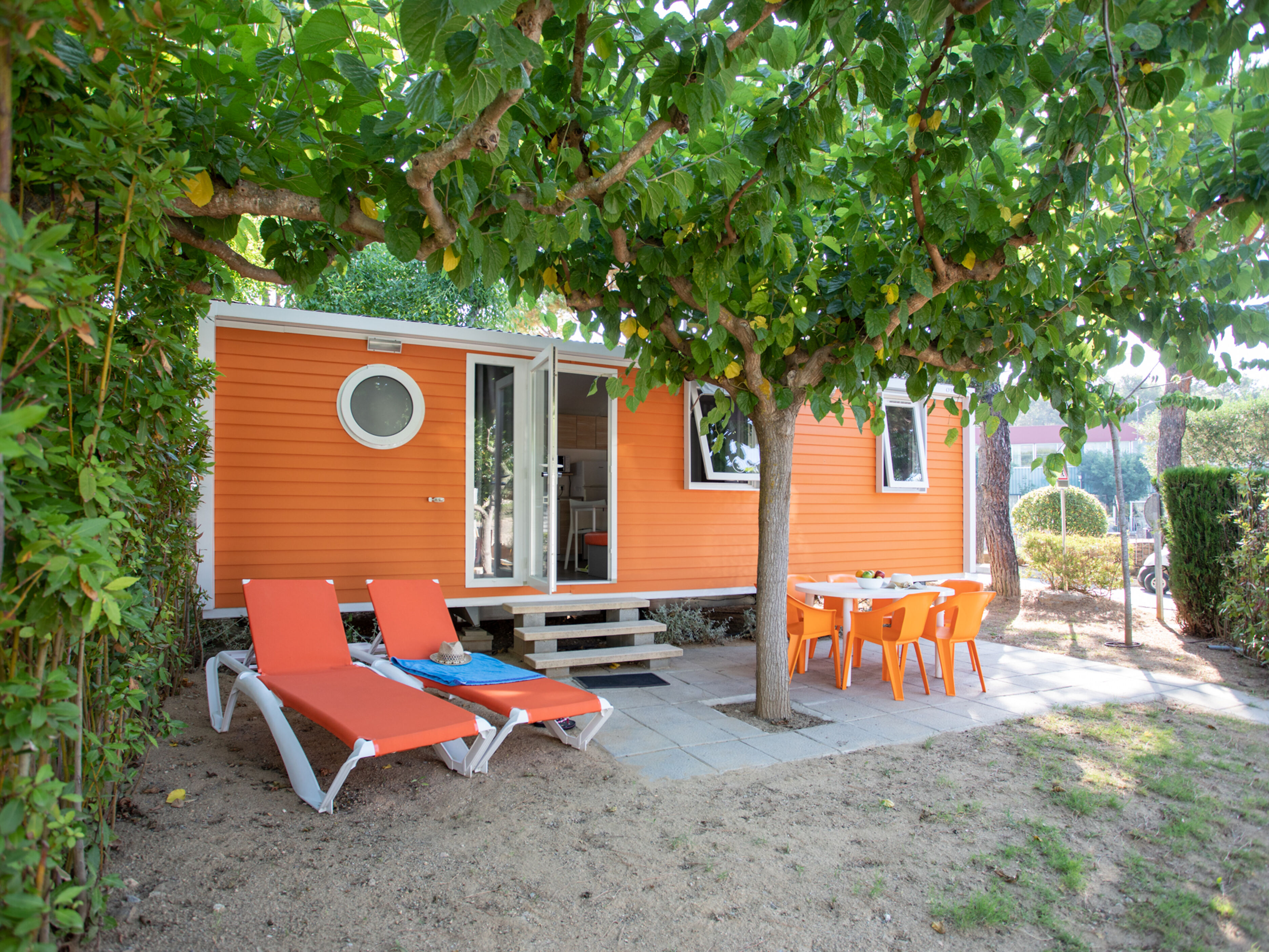 Camping King's 