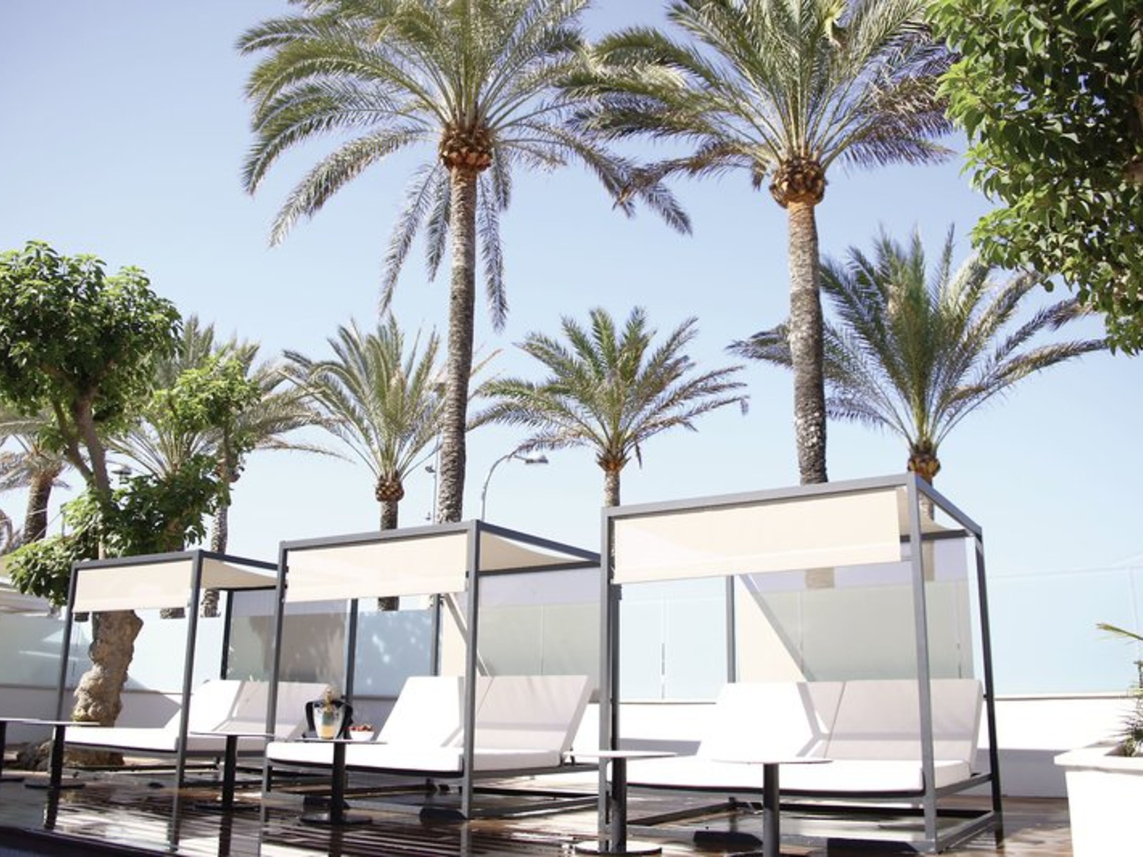 Hotel Playa Golf