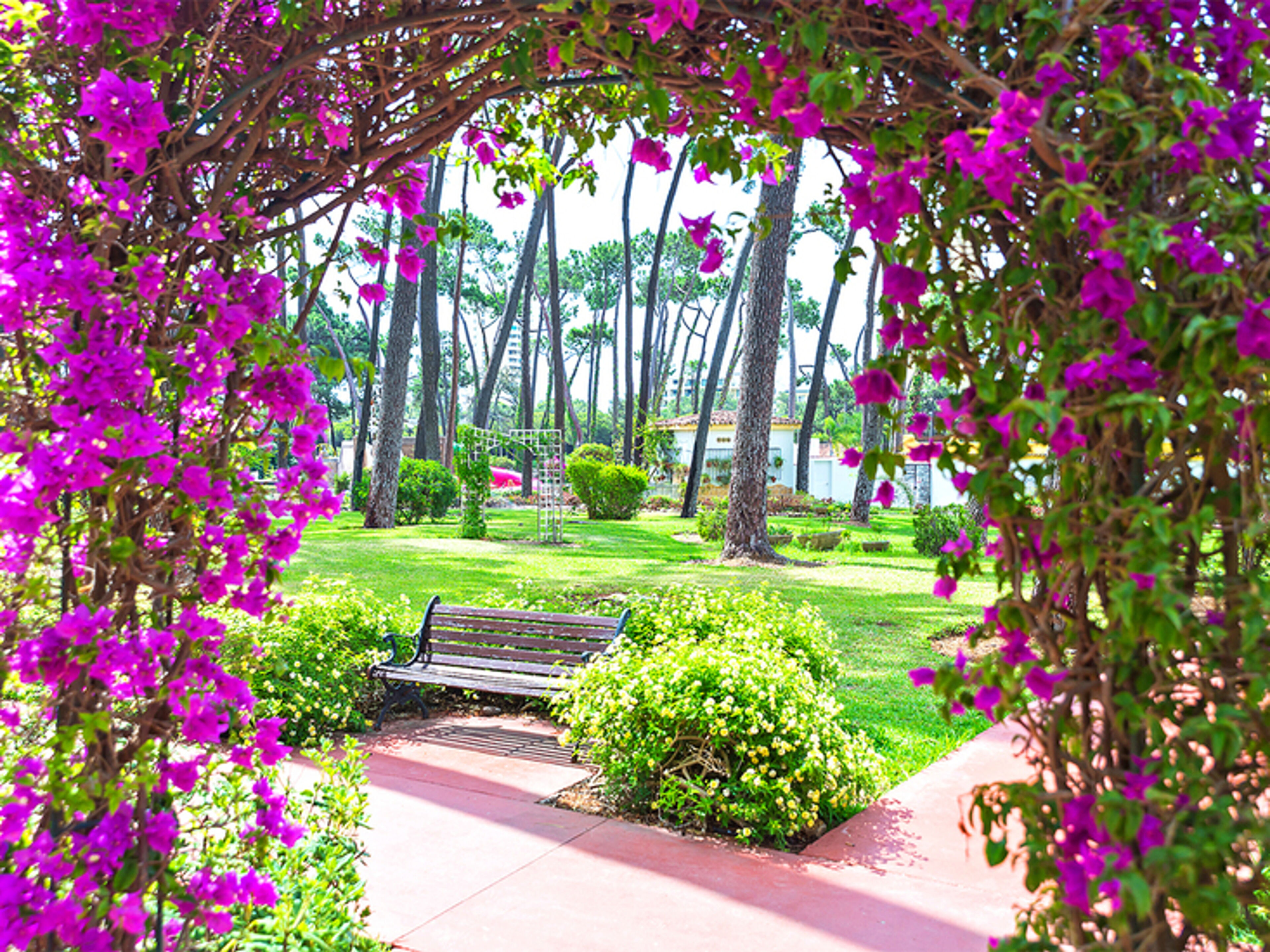 AluaSun Marbella Park