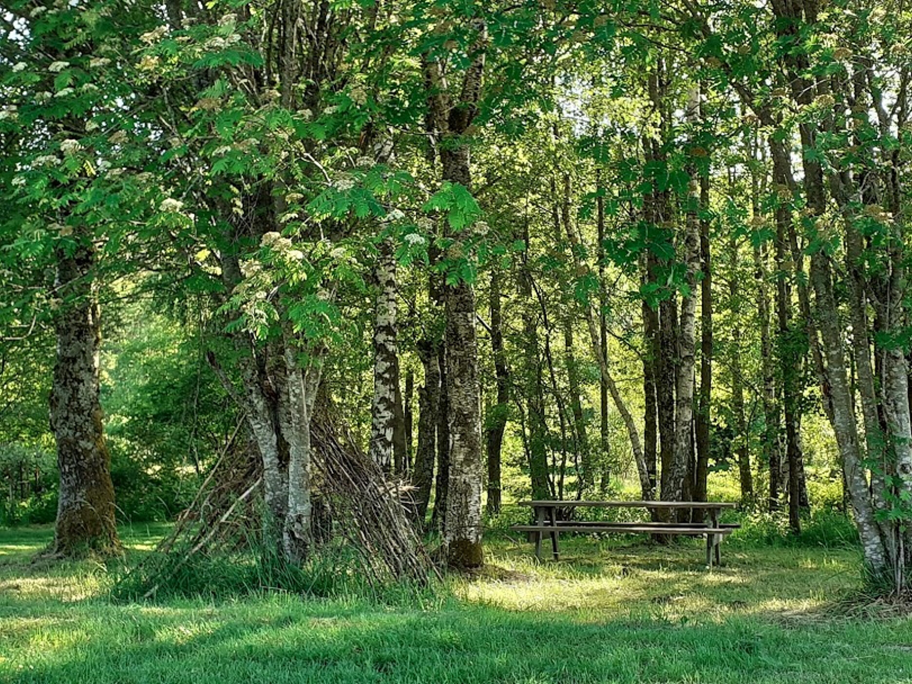 Camping Les Trexons
