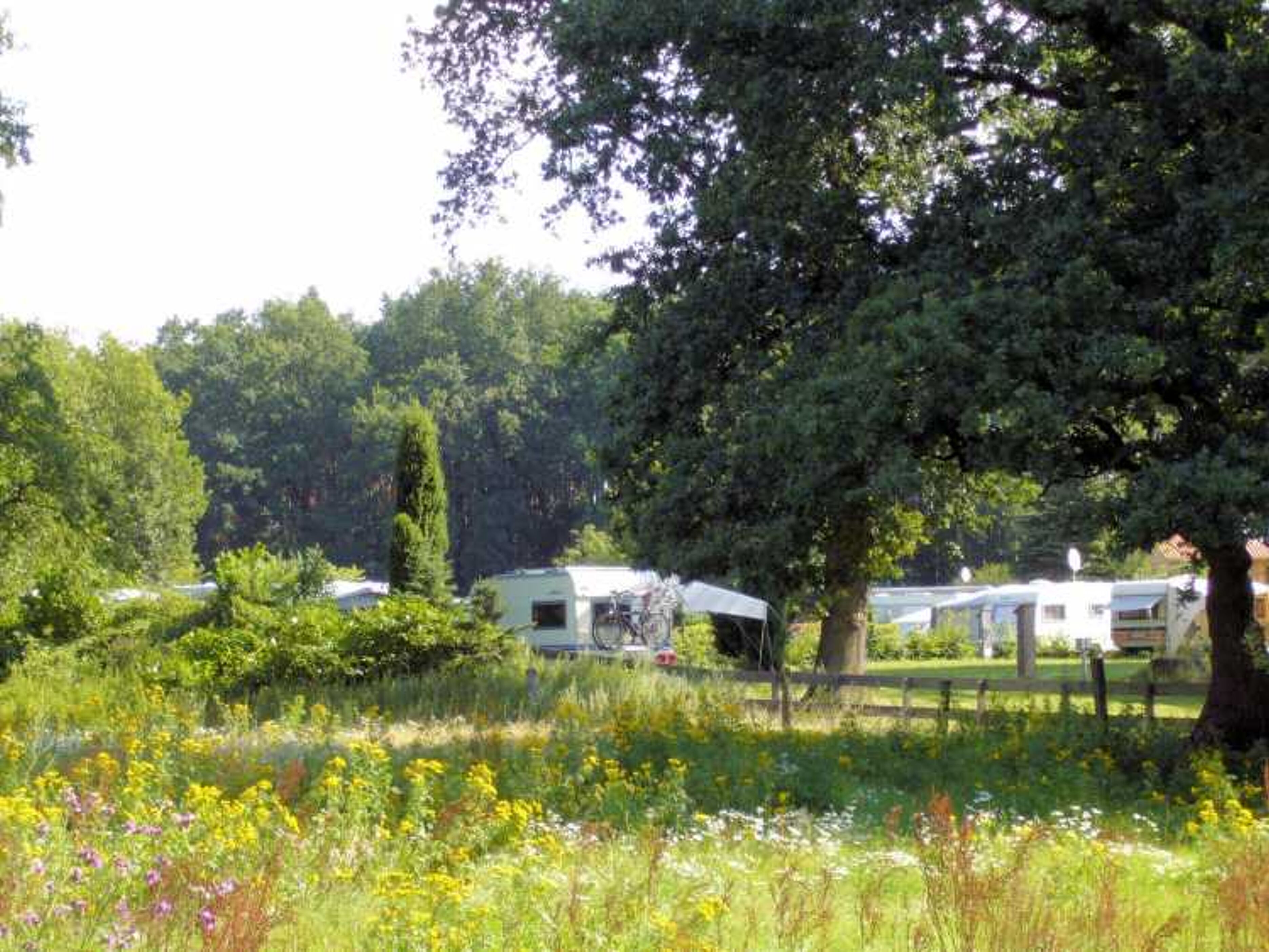 Südheide