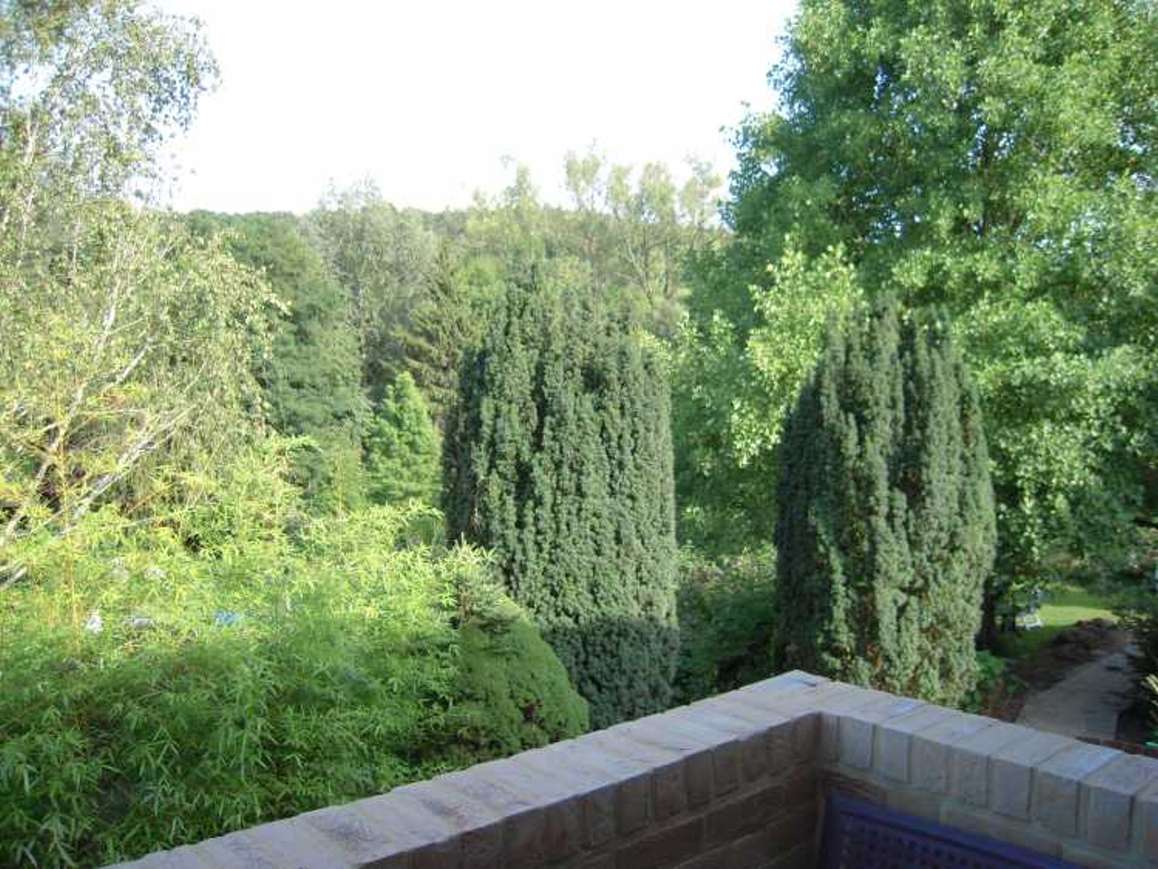 Aan Het Grote Bos