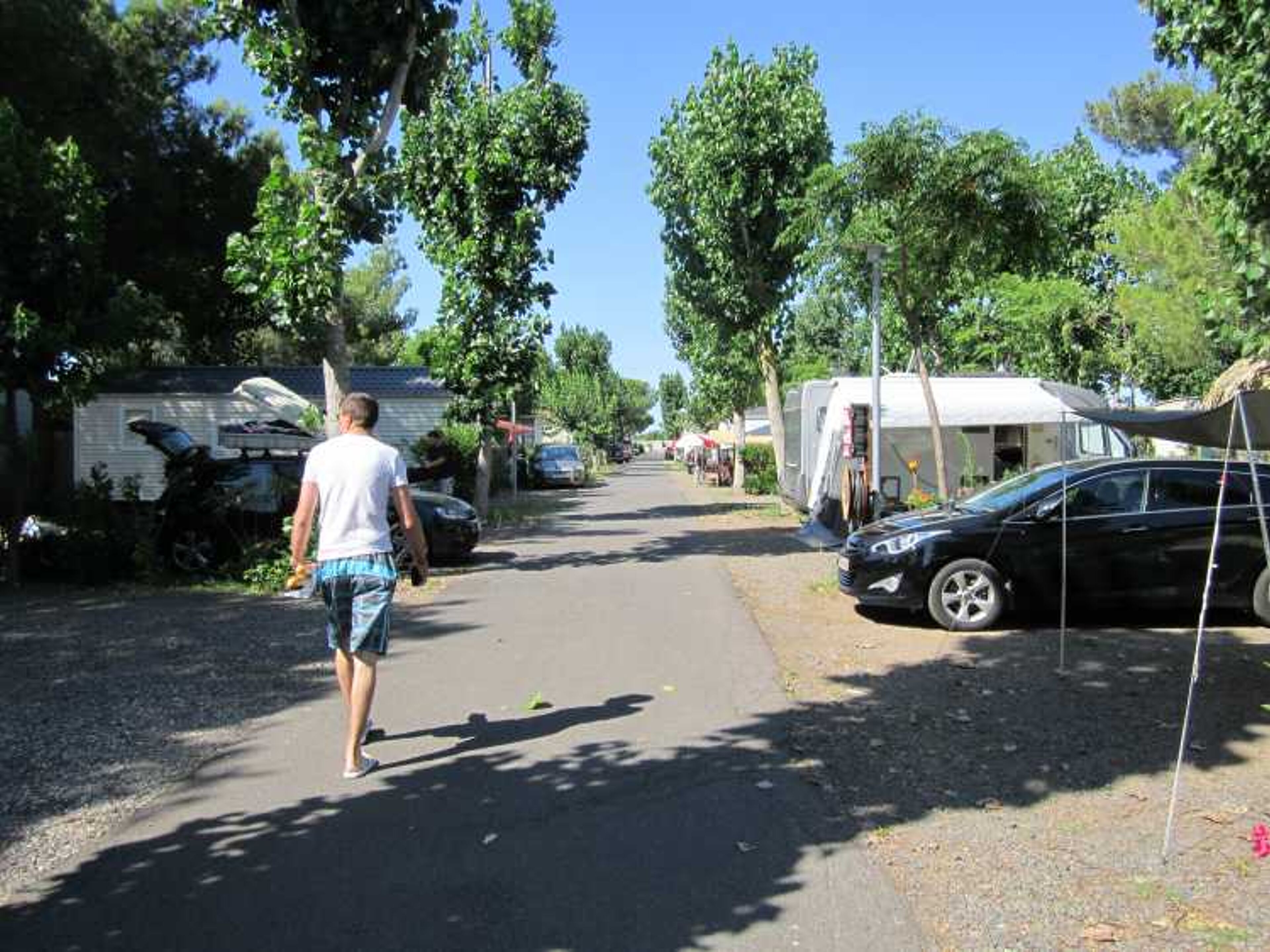 Les Champs Blancs
